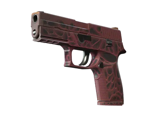 P250 | Contaminant